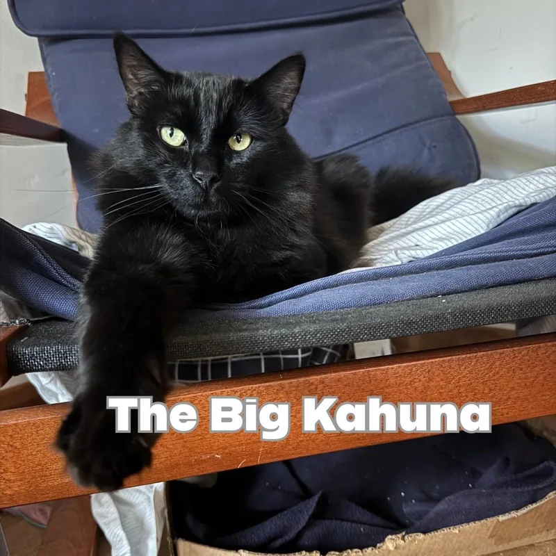 Kahuna thumbnail 4