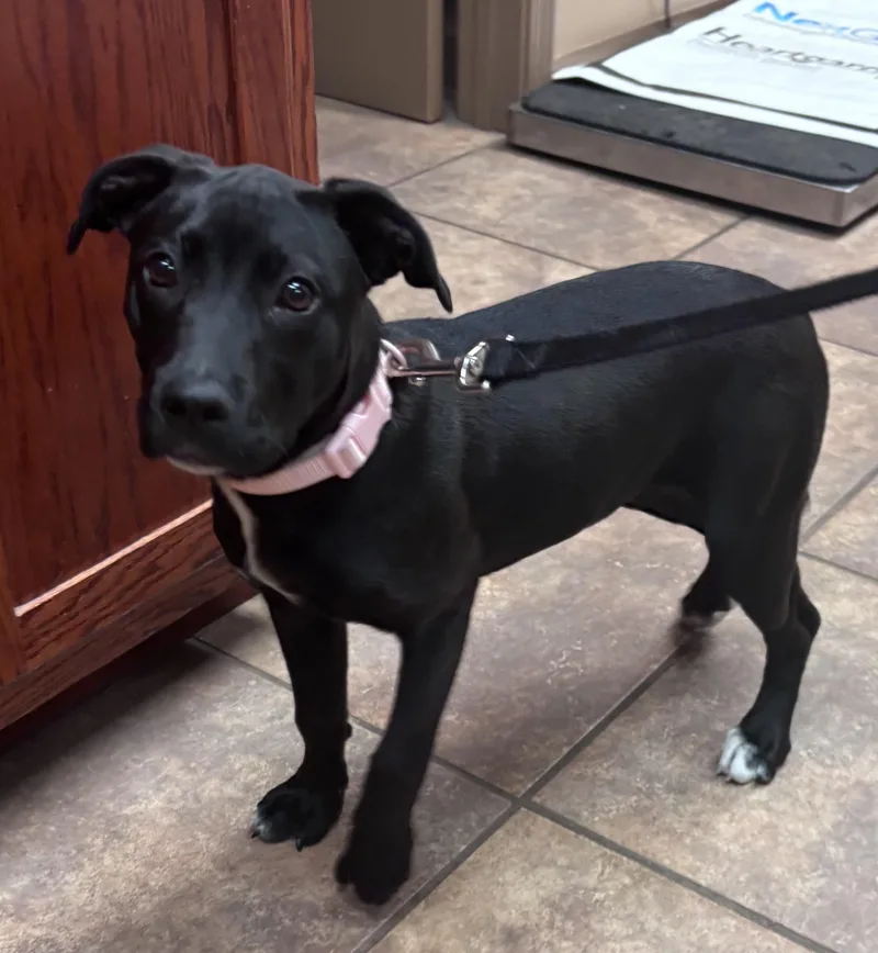 Daisy Grace thumbnail 2