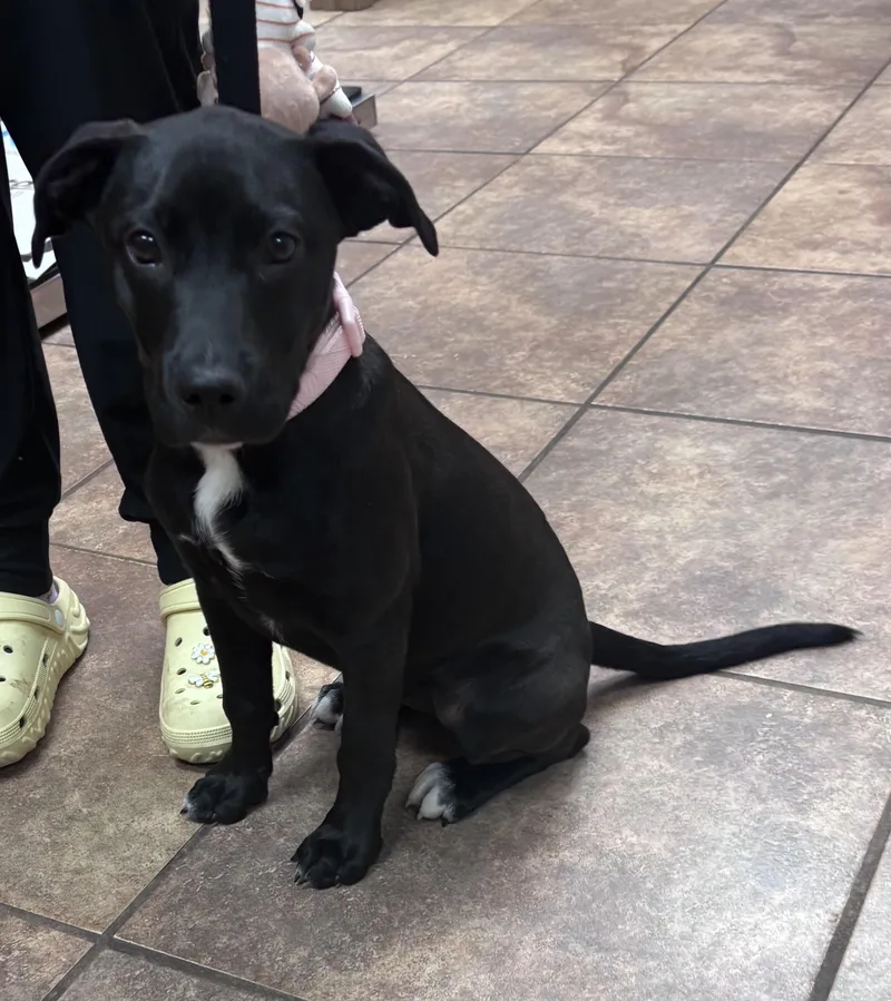 Daisy Grace thumbnail 3