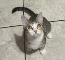 Minu Bondedtokimchi thumbnail 2