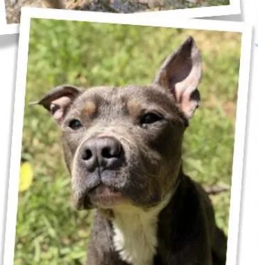 Cooper thumbnail 3