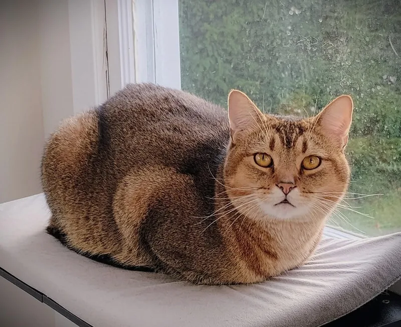 Happy And Lessie thumbnail 2