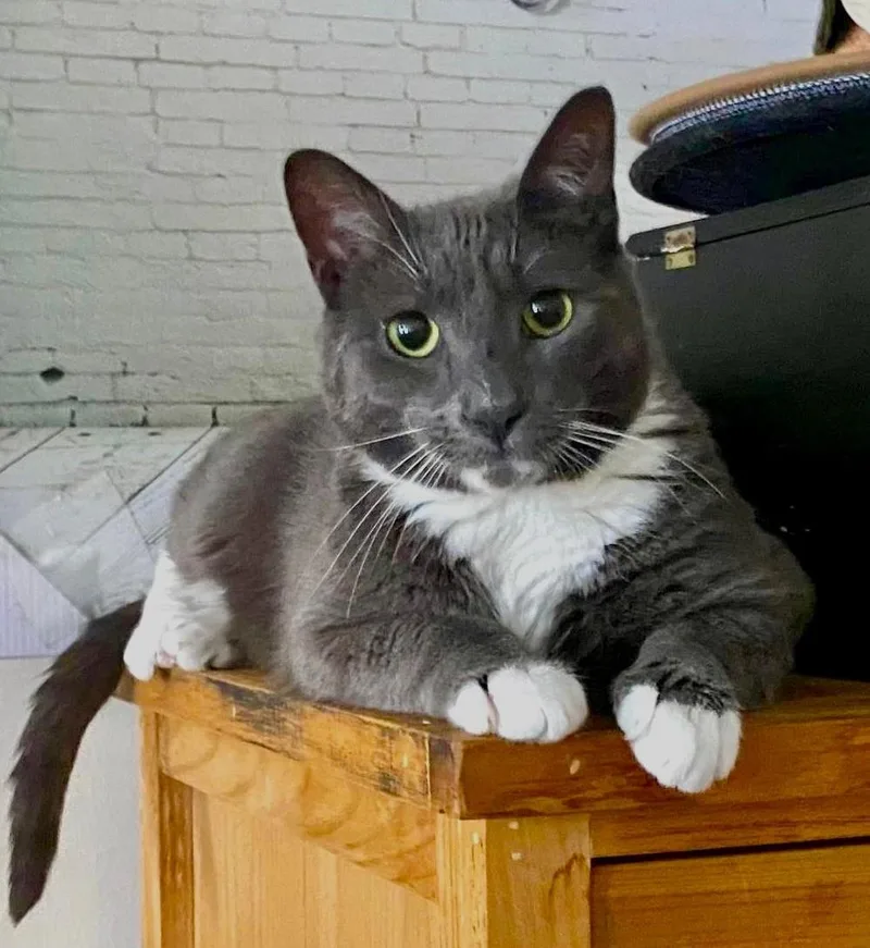 Happy And Lessie thumbnail 3