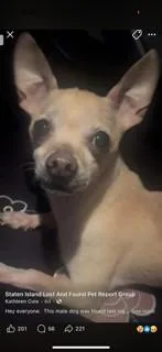 Herman thumbnail 4