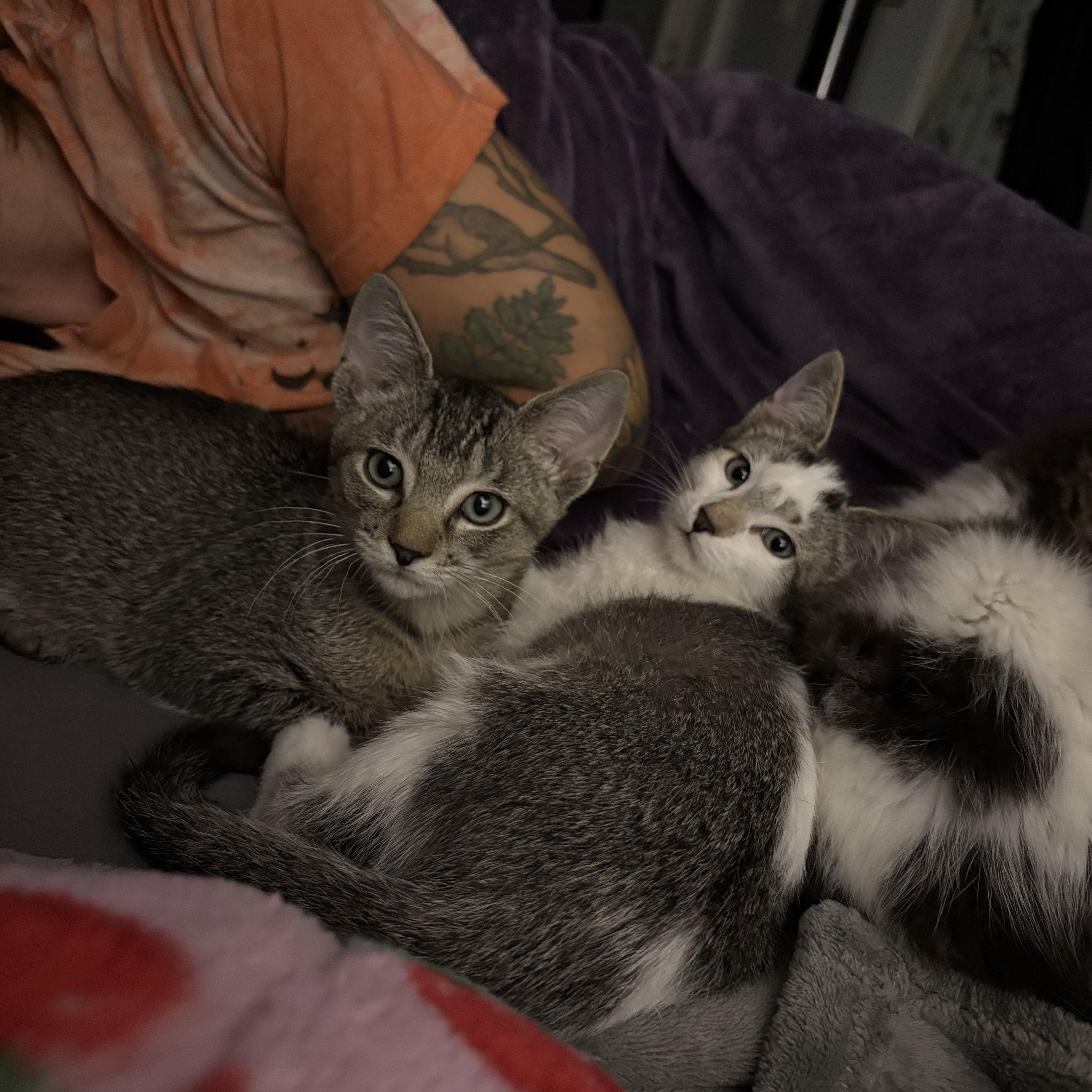Flick and Tasha thumbnail 3