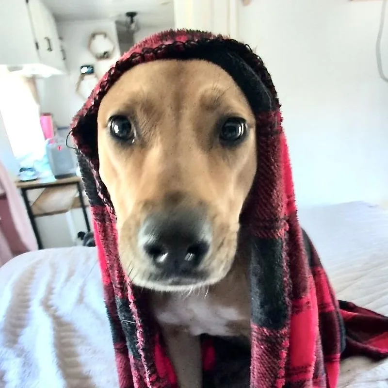 Bonnie S thumbnail 2