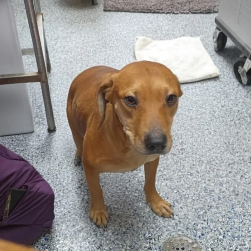 Driftwood thumbnail 3