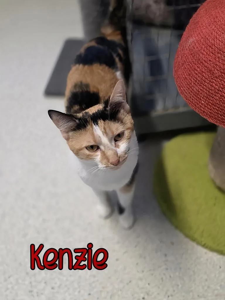 Kenzie thumbnail 2