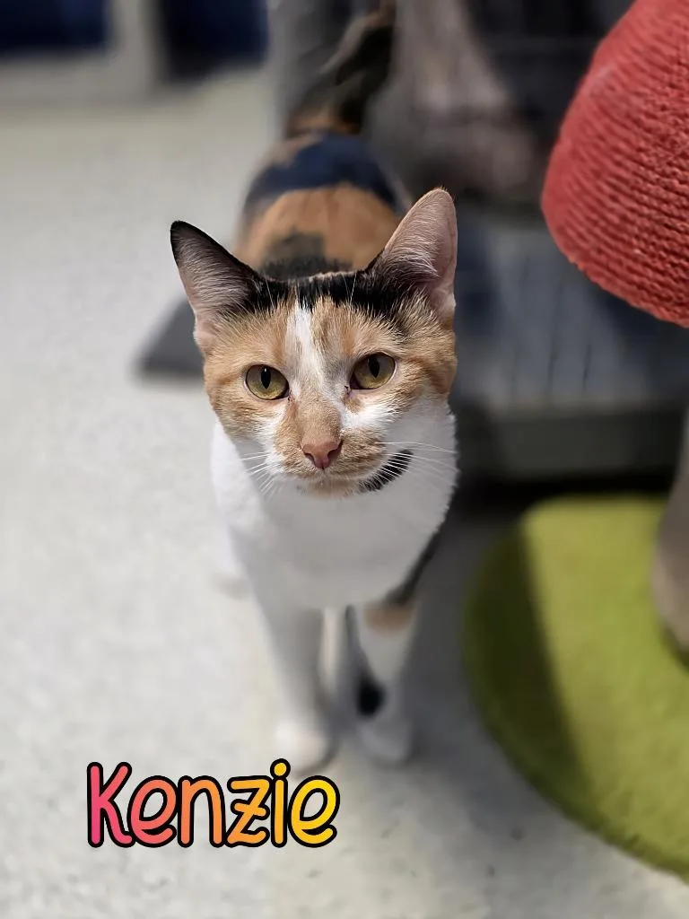 Kenzie thumbnail 5