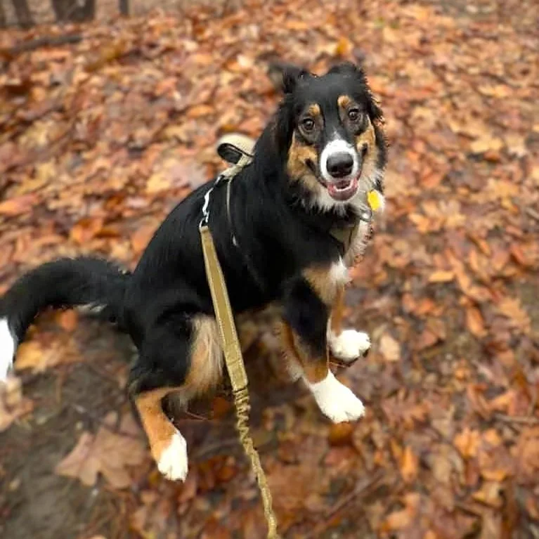 Miss Blue thumbnail 2