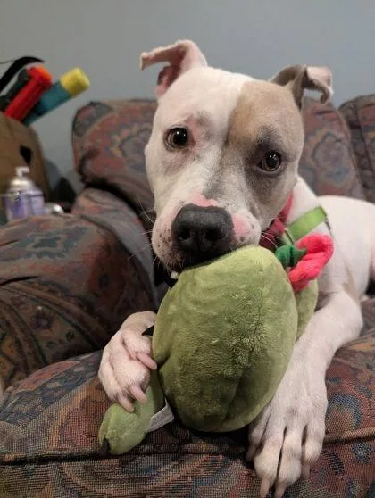 Missy thumbnail 2
