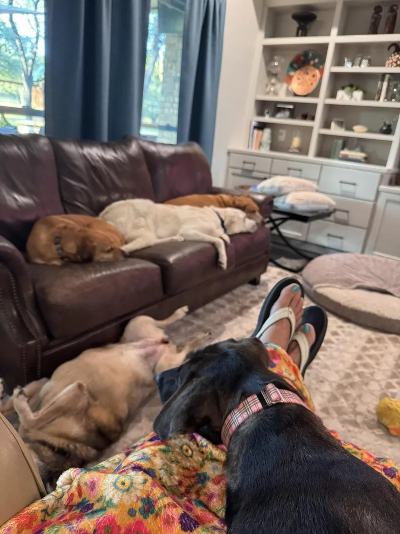 Layla Aka Juniper thumbnail 2