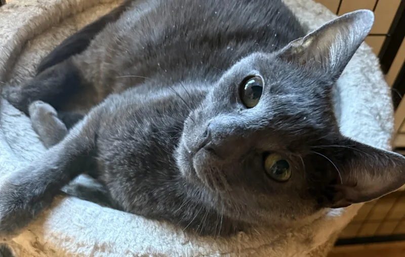 Sweet Peaches thumbnail 2