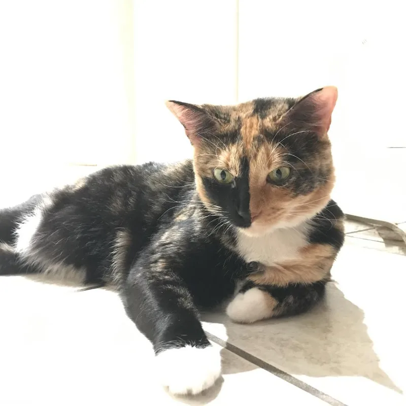 Millie thumbnail 2