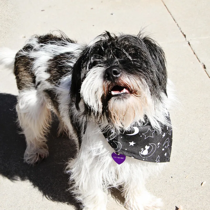 Rikkihe’s Kinda Perfect thumbnail 3