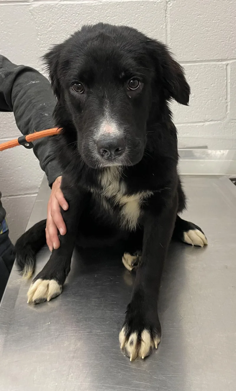 Cindy Hold thumbnail 2