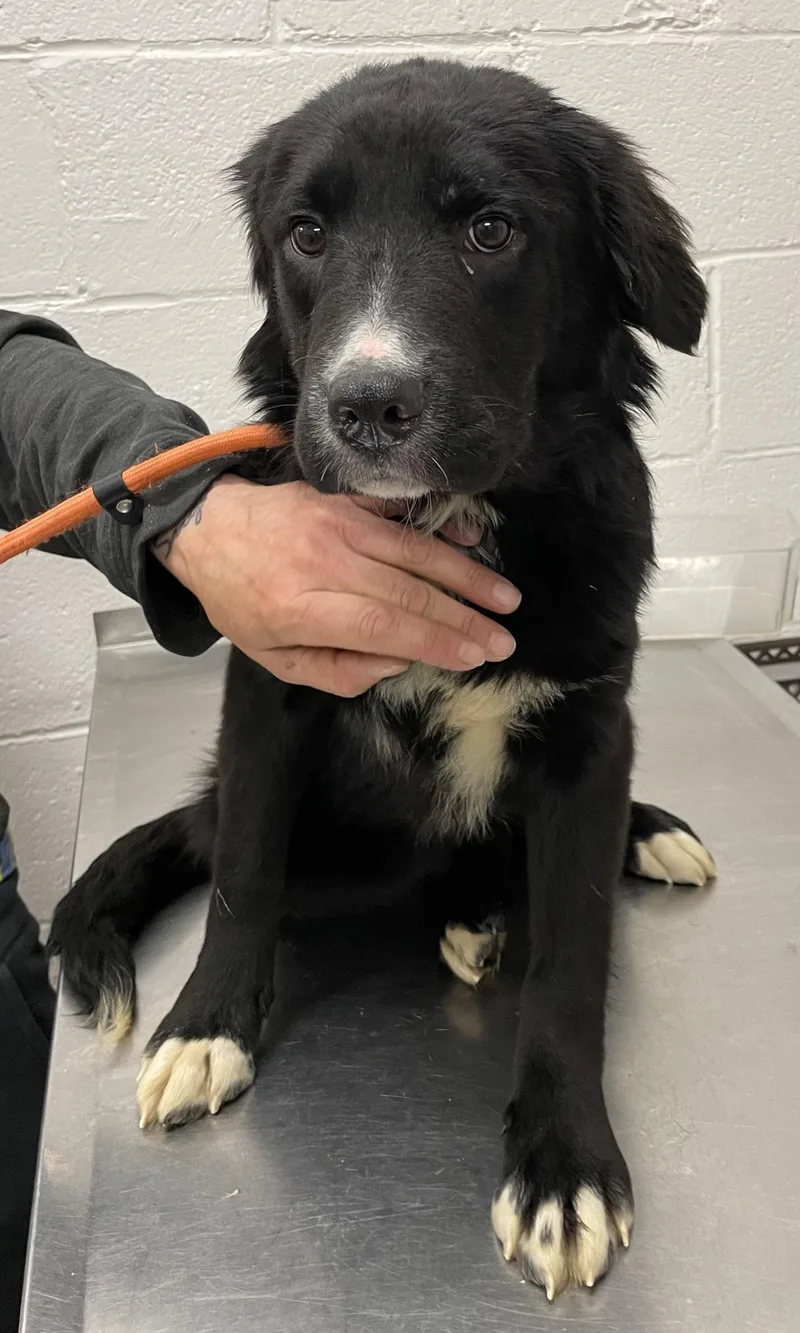 Cindy Hold thumbnail 3