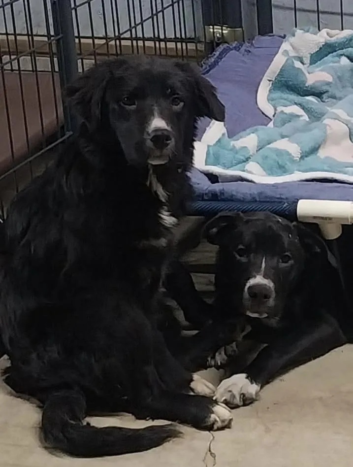 Cindy Hold thumbnail 4