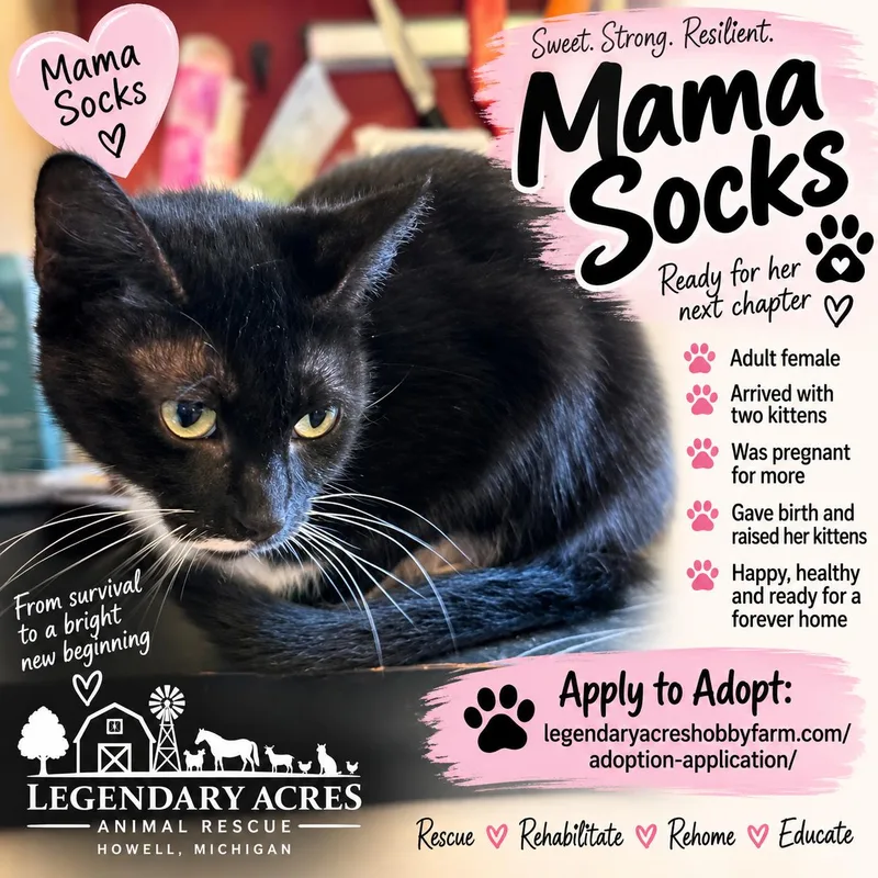 Mama Socks
