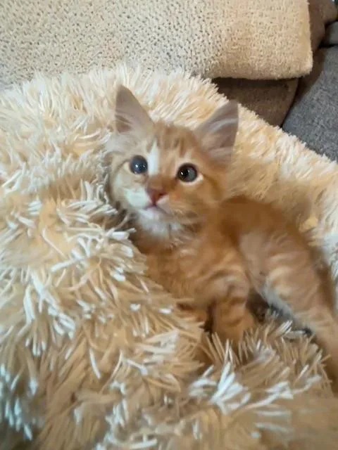 Charles