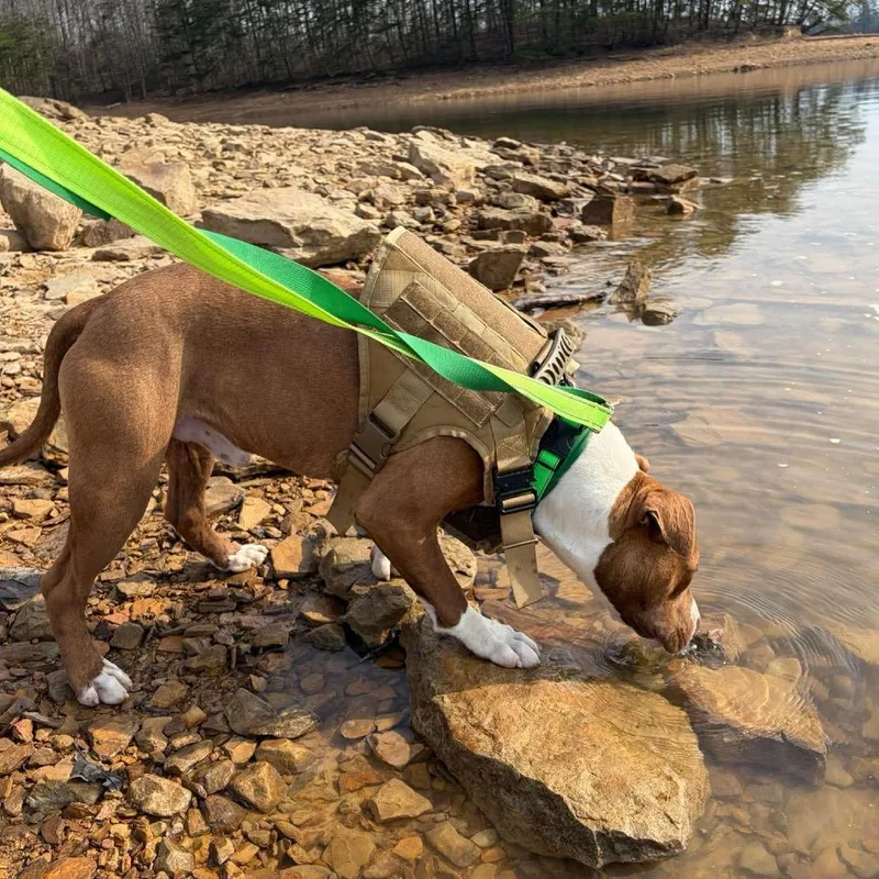 Ja'barkus thumbnail 5