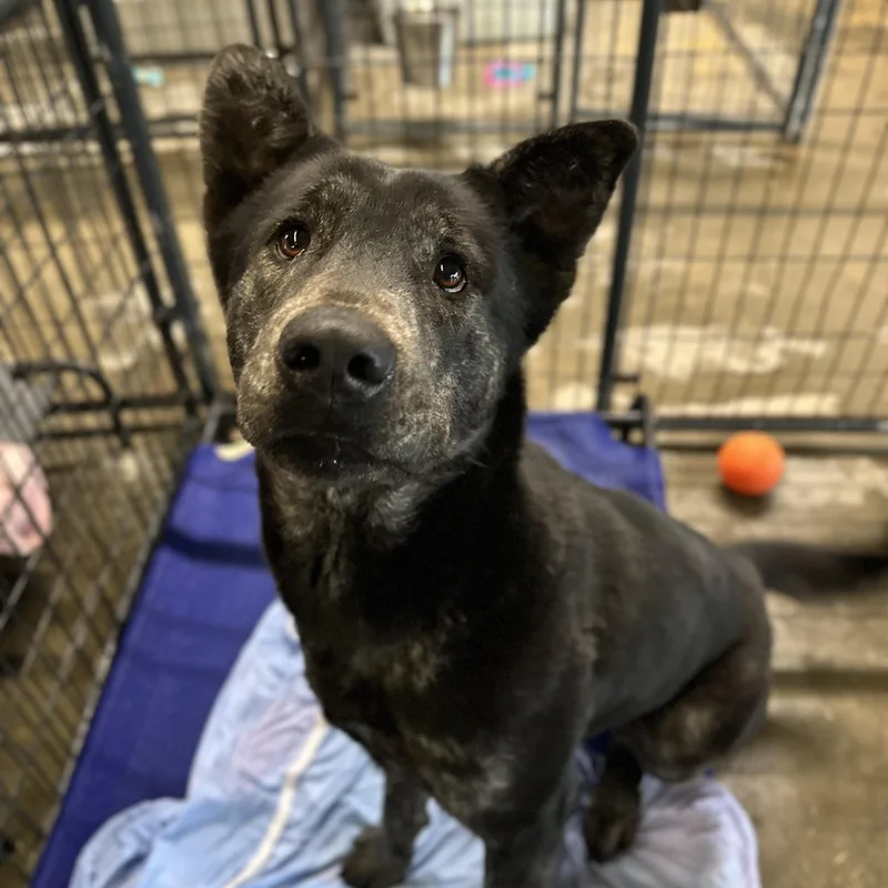 Jeremy Allen White thumbnail 5