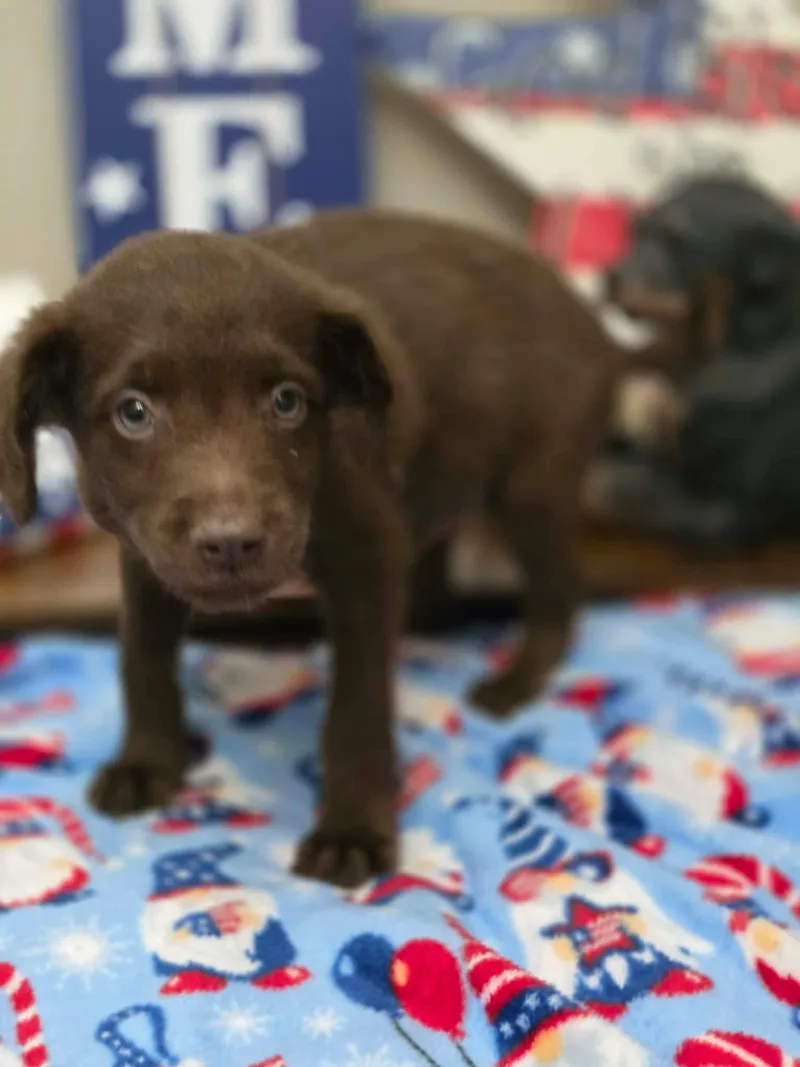 Kona thumbnail 5