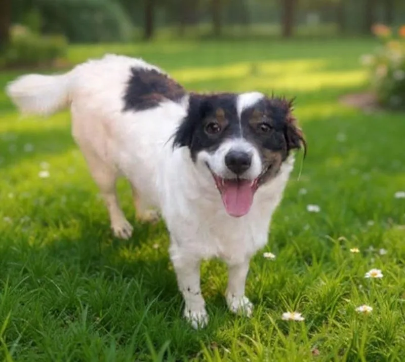 Milagros thumbnail 3