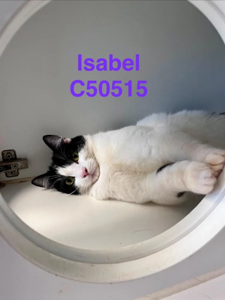 Isabel