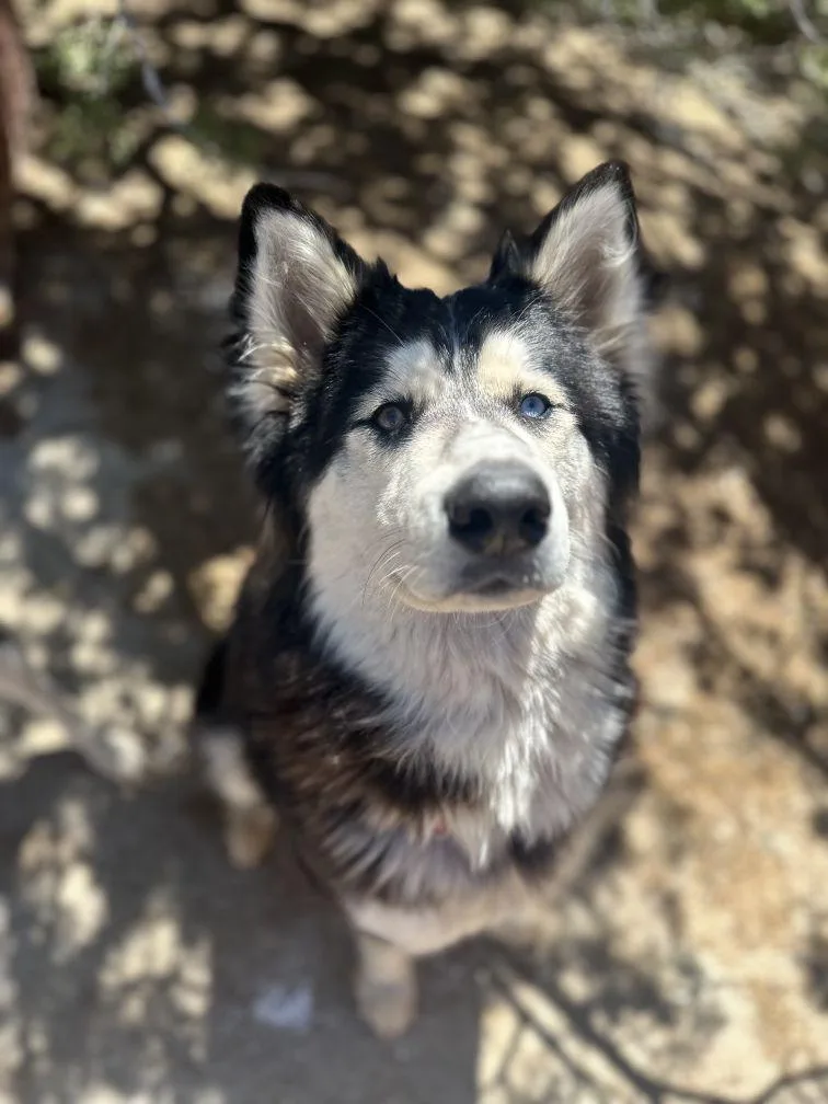 Storm Is A Great thumbnail 2