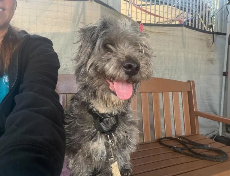 Ella Mae thumbnail 3