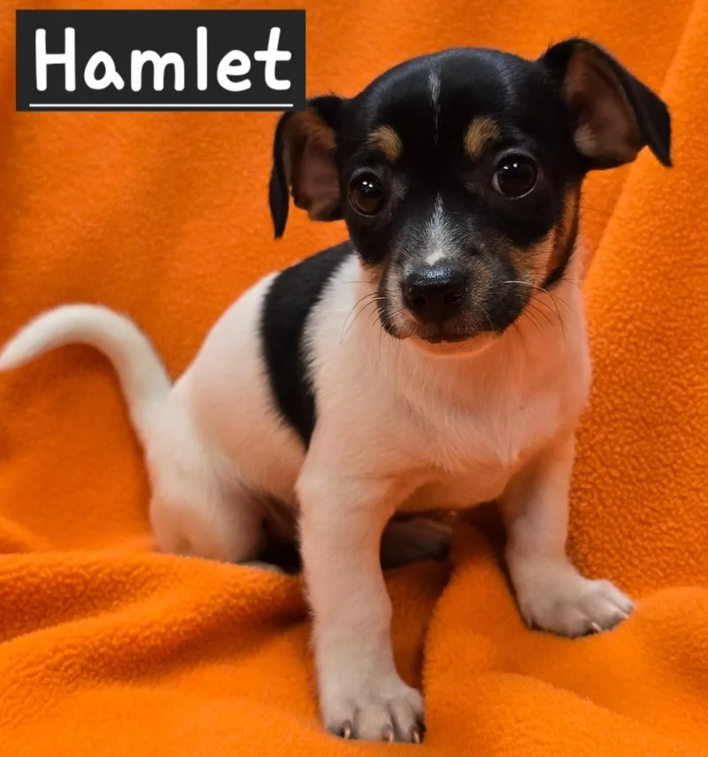 Hamlet