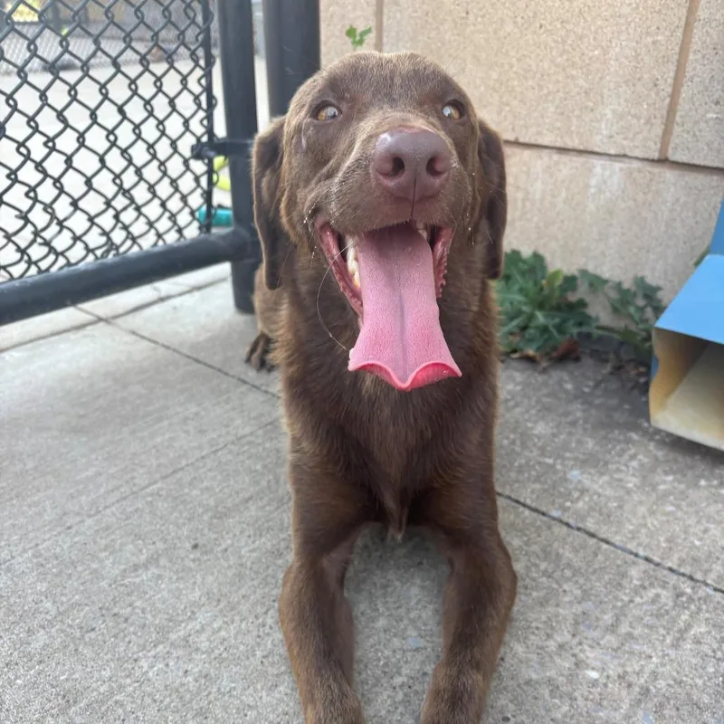 Coco