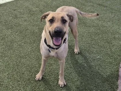 Sunshine thumbnail 3