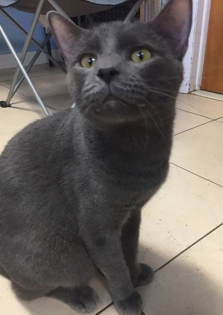 O'malley thumbnail 2