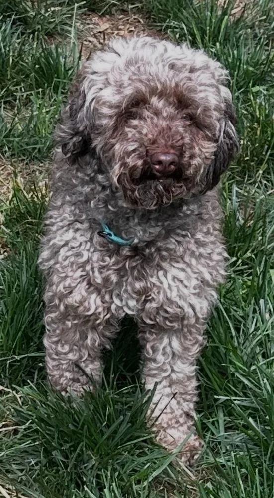 Mia
