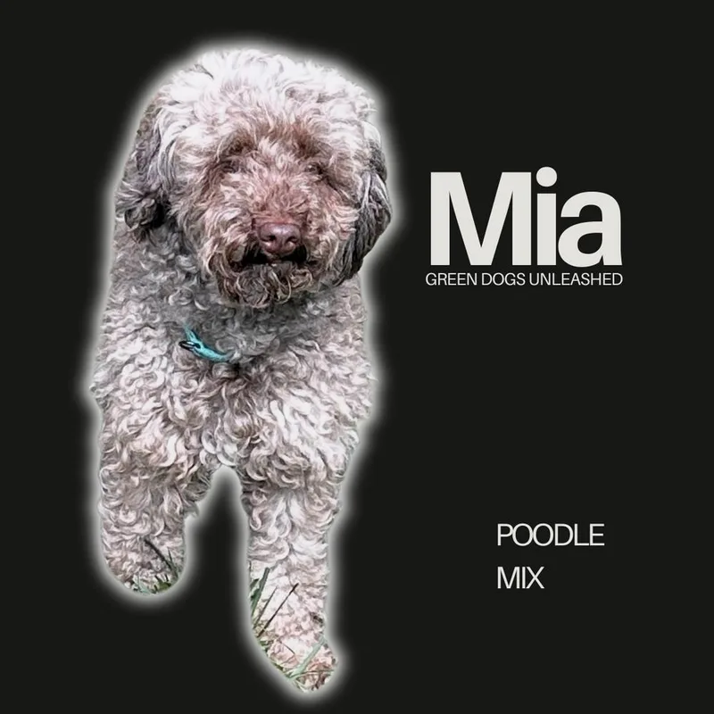 Mia thumbnail 2