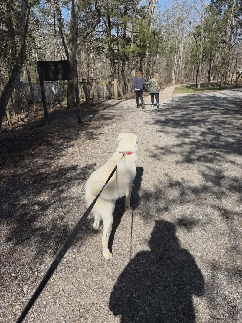 Avalanche thumbnail 5