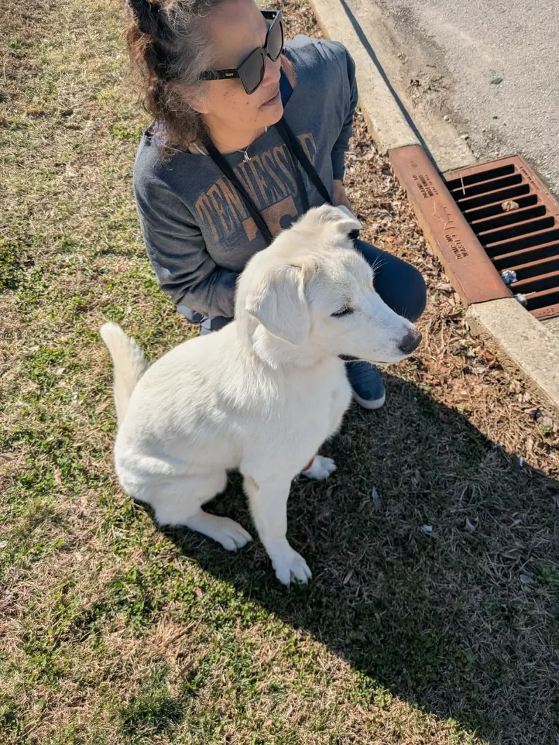 Avalanche thumbnail 6