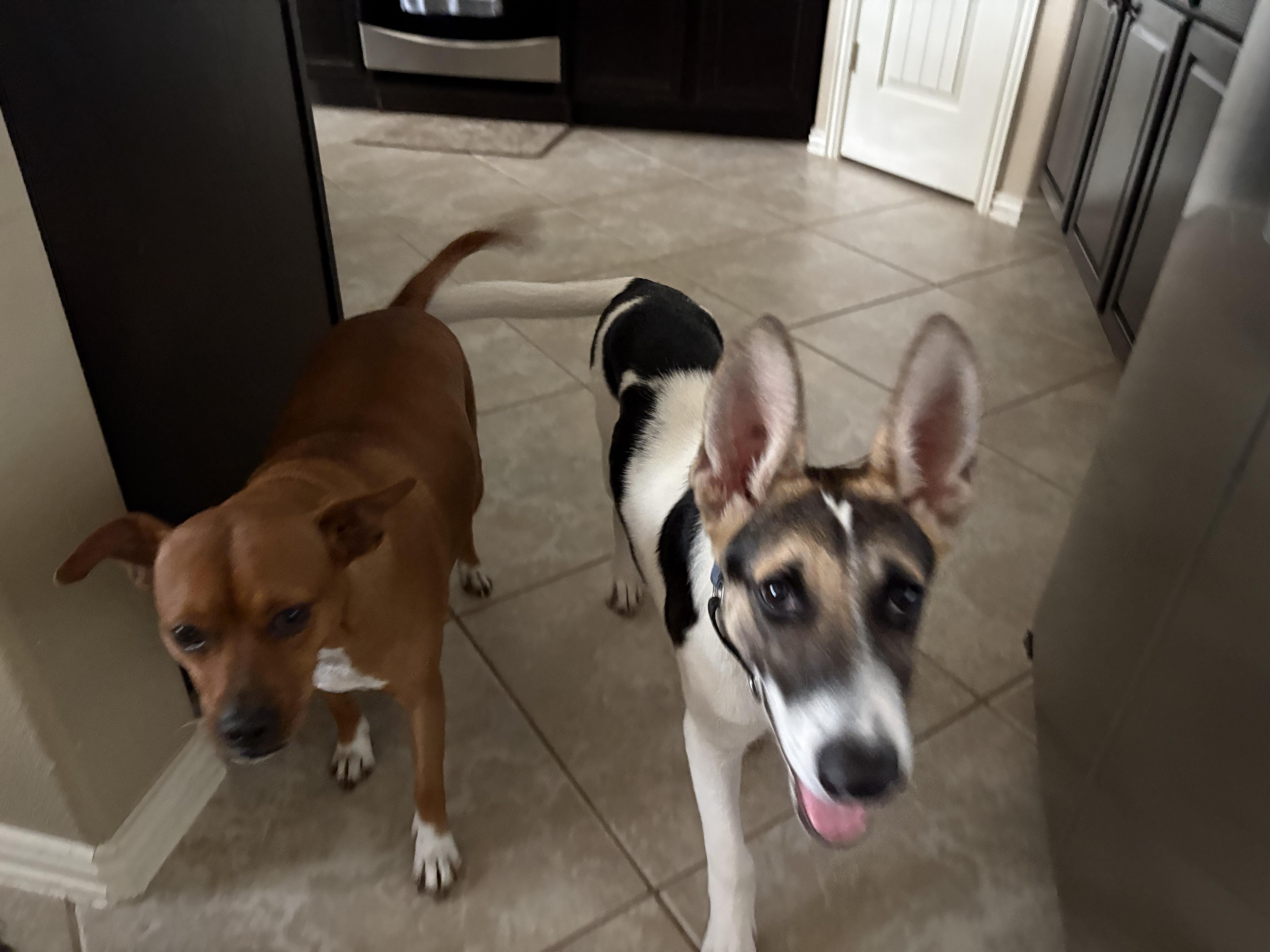 Buster thumbnail 2