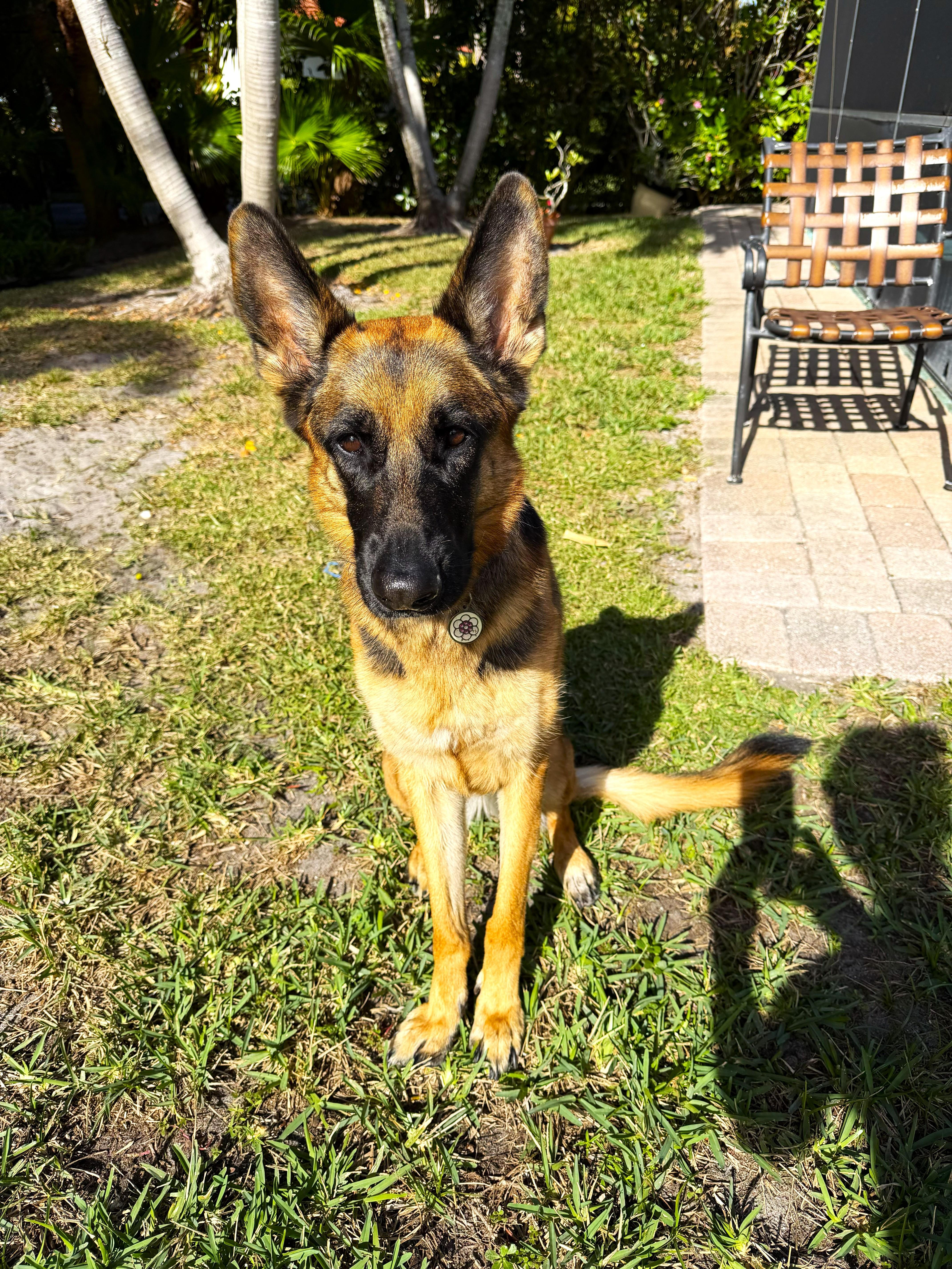 Luci & Maggie thumbnail 2