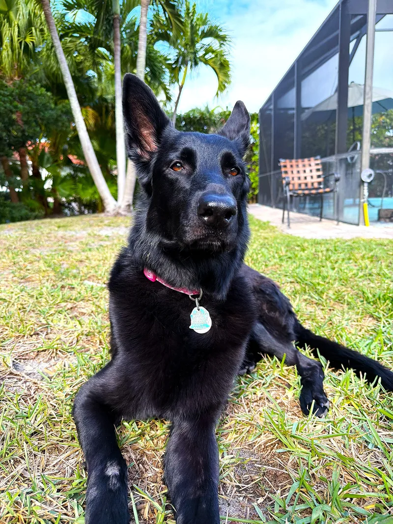 Luci & Maggie thumbnail 4