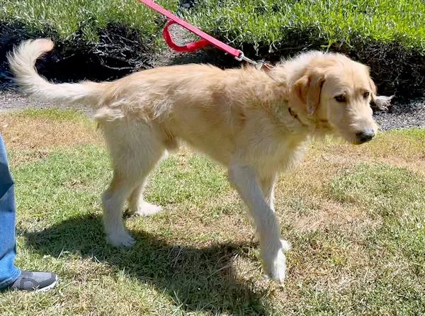 Mcdougal thumbnail 3