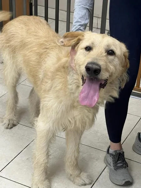 Mcdougal thumbnail 6