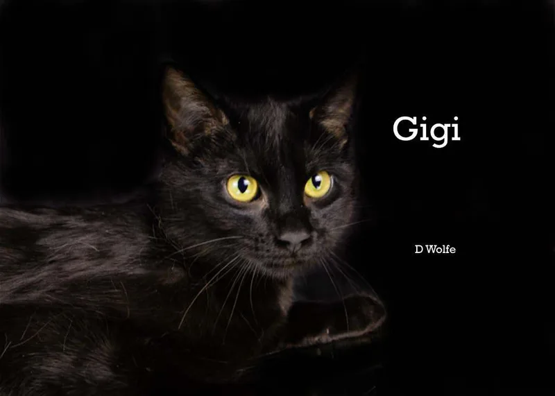 Gigi & Charlie thumbnail 2