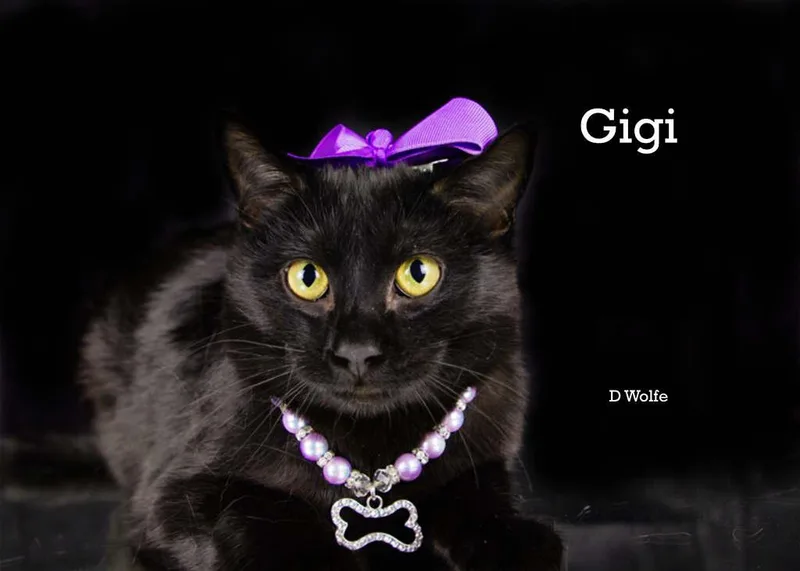 Gigi & Charlie thumbnail 3