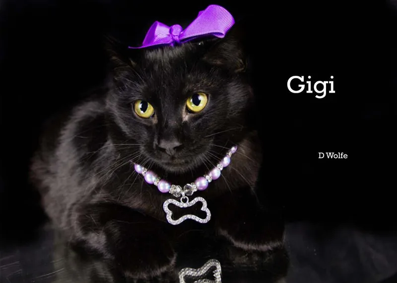 Gigi & Charlie thumbnail 6