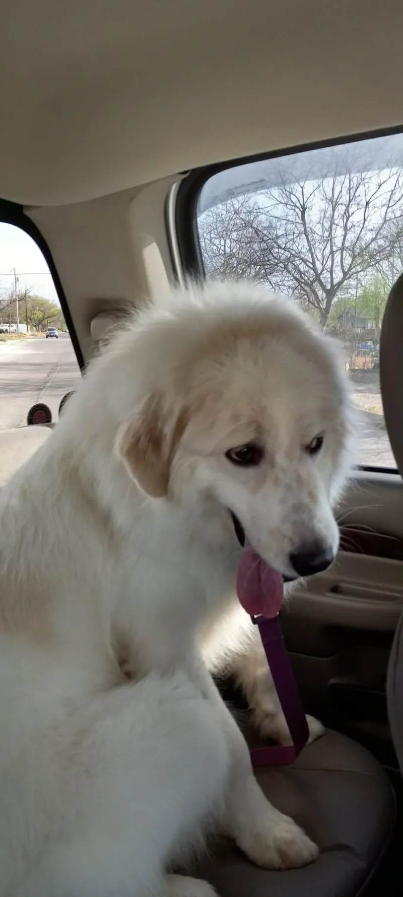 Dallas Sat thumbnail 5