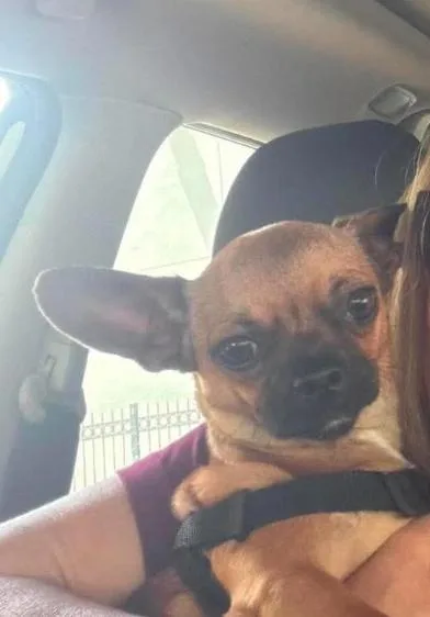 Bibi in TX thumbnail 2