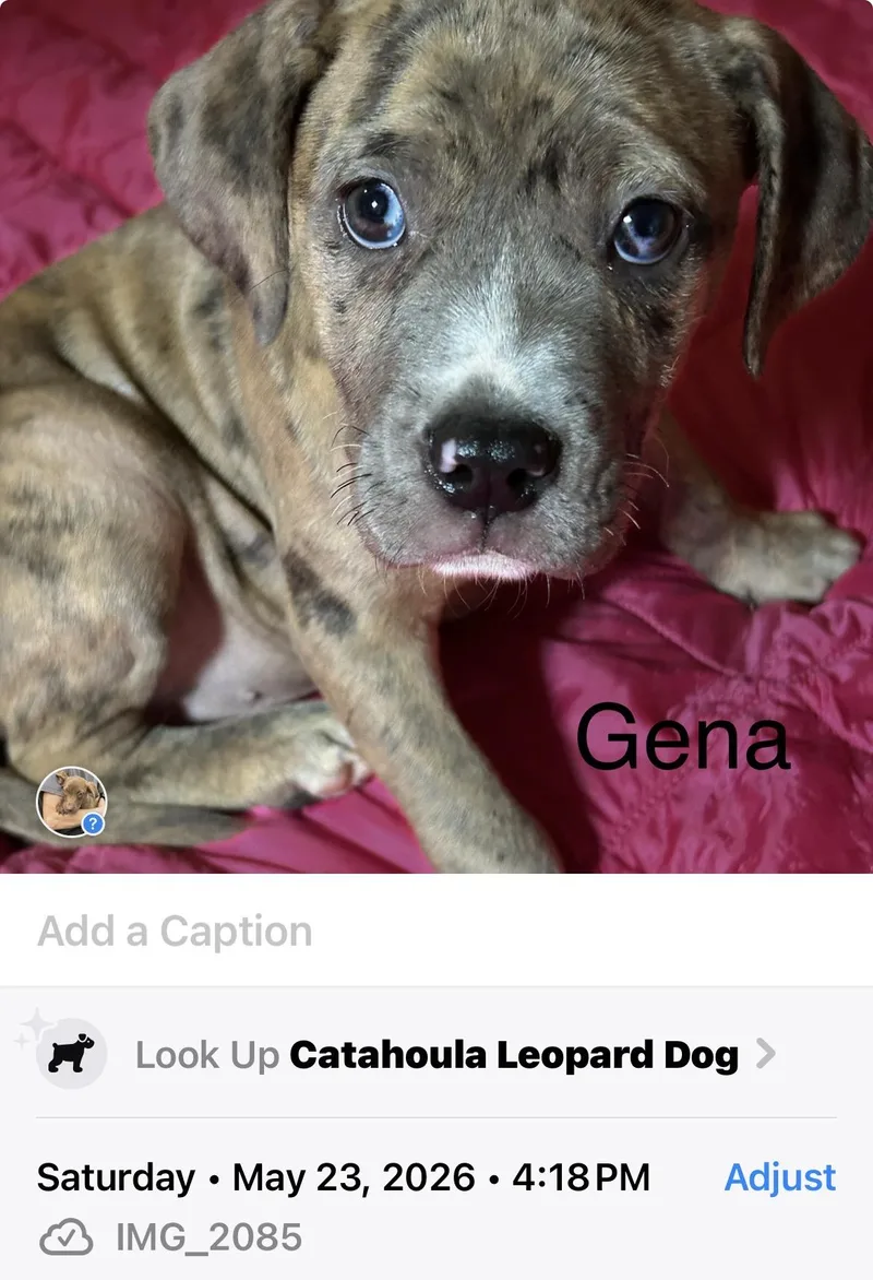 Gena thumbnail 2
